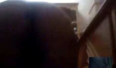 Saraf Amatir rambut pirang menyebalkan dan Fucks bokep ibu tiri hot kontol besar